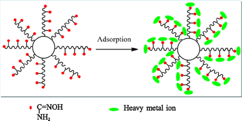 Metal ion-ligand complexation reaction